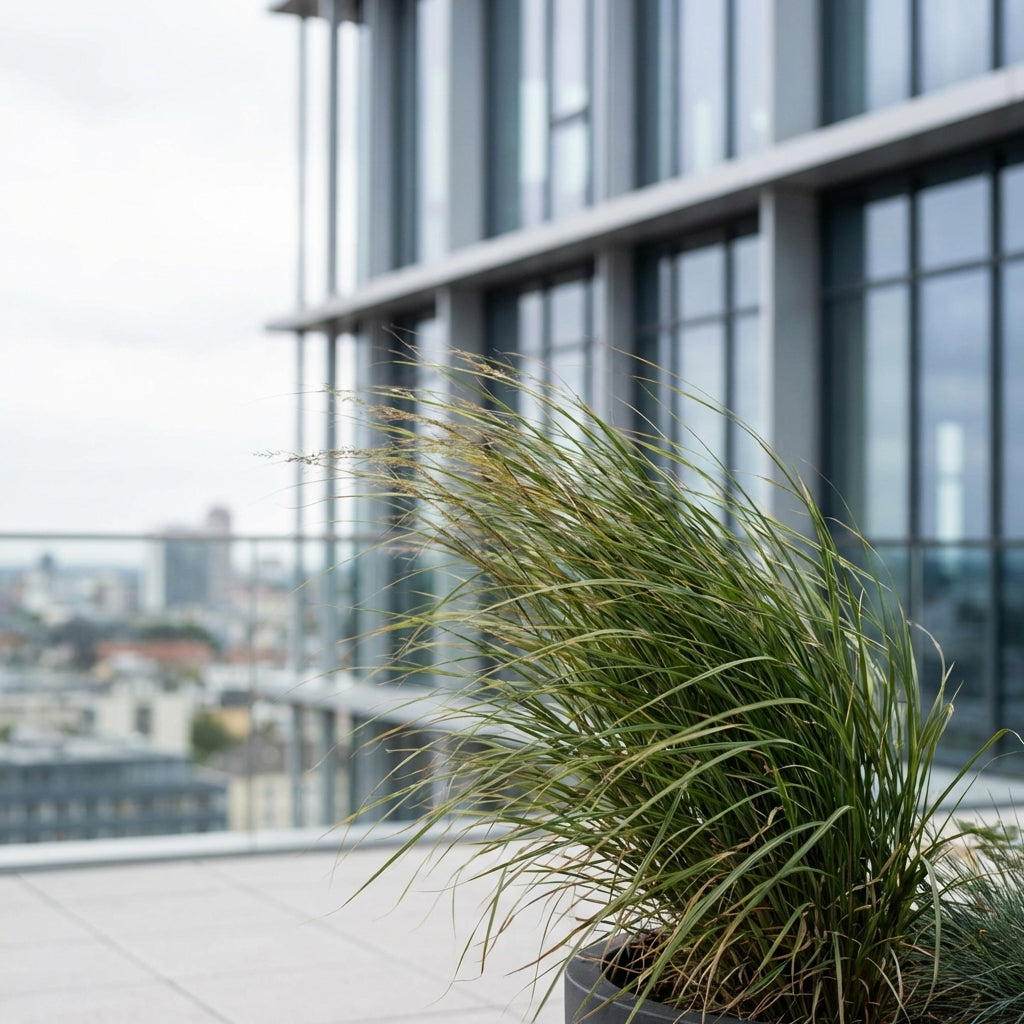 Illustration for How to Choose the Best Wind-Resistant Freestanding Pergola Kits for High-Breeze Locations